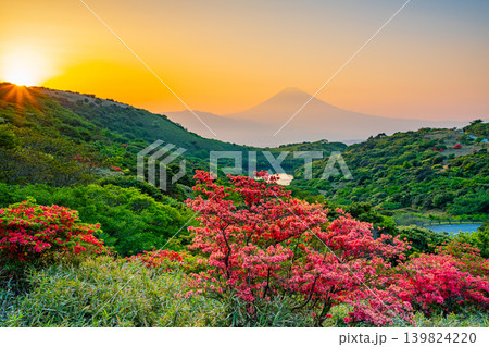 (静岡県)満開の山ツツジが美しい、箱根玄岳から望む富士山 夕景 (静岡県)満開の山ツツジが美しい、箱根玄岳から望む富士山 夕景 139824220