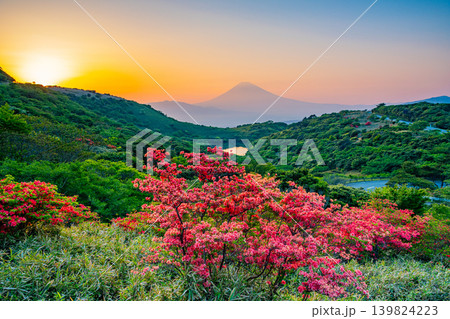 (静岡県)満開の山ツツジが美しい、箱根玄岳から望む富士山 夕景 (静岡県)満開の山ツツジが美しい、箱根玄岳から望む富士山 夕景 139824223