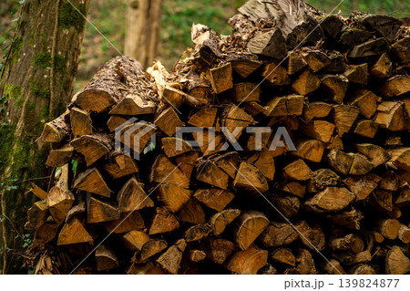 View of firewood stacked on top of each other near the back door of a house View of firewood stacked on top of each other near the back door of a house 139824877