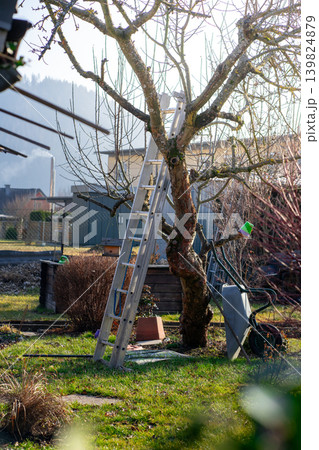 View of a summer cottage in early spring, a stepladder near a fruit tree View of a summer cottage in early spring, a stepladder near a fruit tree 139824879