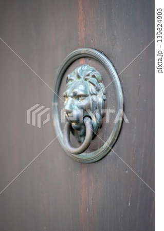 View of a street door handle in the shape of a lion. 139824903