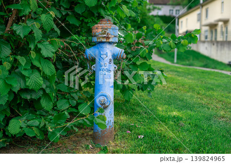 View of an old fire hydrant standing in the bushes near the road View of an old fire hydrant standing in the bushes near the road 139824965
