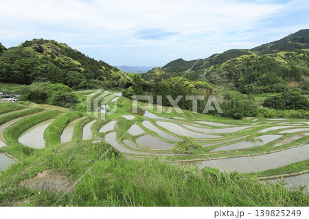 【千葉県】田植の済んだ大山千枚田 【千葉県】田植の済んだ大山千枚田 139825249