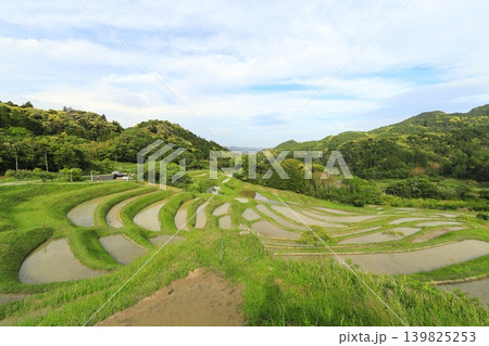 【千葉県】田植の済んだ大山千枚田 【千葉県】田植の済んだ大山千枚田 139825253