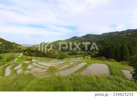 【千葉県】田植の済んだ大山千枚田 【千葉県】田植の済んだ大山千枚田 139825255