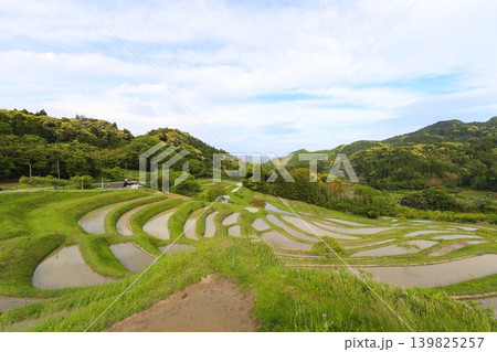 【千葉県】田植の済んだ大山千枚田 【千葉県】田植の済んだ大山千枚田 139825257