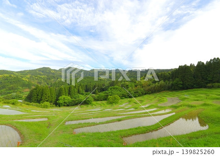 【千葉県】田植の済んだ大山千枚田 【千葉県】田植の済んだ大山千枚田 139825260