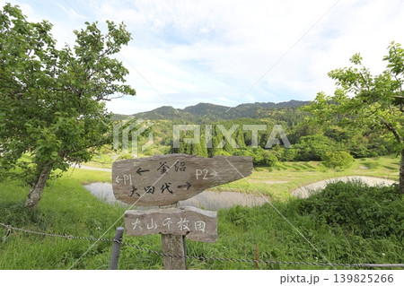 【千葉県】田植の済んだ大山千枚田 【千葉県】田植の済んだ大山千枚田 139825266