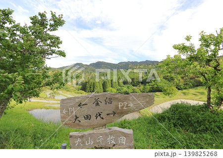【千葉県】田植の済んだ大山千枚田 【千葉県】田植の済んだ大山千枚田 139825268