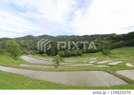 【千葉県】田植の済んだ大山千枚田 【千葉県】田植の済んだ大山千枚田 139825270