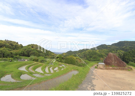 【千葉県】田植の済んだ大山千枚田 【千葉県】田植の済んだ大山千枚田 139825272