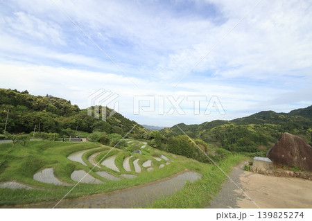 【千葉県】田植の済んだ大山千枚田 【千葉県】田植の済んだ大山千枚田 139825274