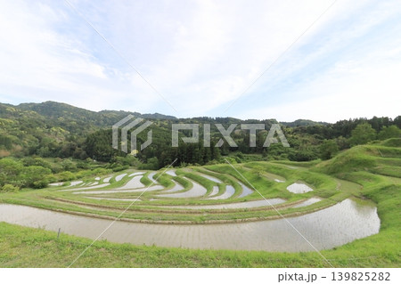 【千葉県】田植の済んだ大山千枚田 【千葉県】田植の済んだ大山千枚田 139825282