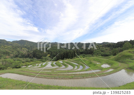 【千葉県】田植の済んだ大山千枚田 【千葉県】田植の済んだ大山千枚田 139825283