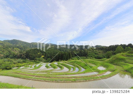 【千葉県】田植の済んだ大山千枚田 【千葉県】田植の済んだ大山千枚田 139825284