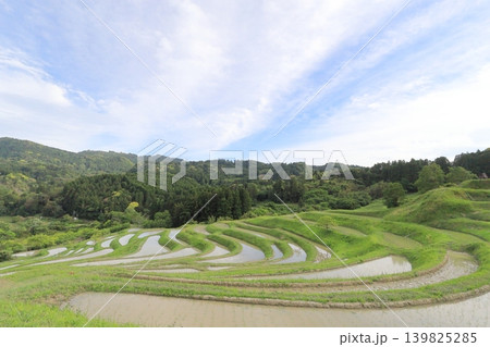 【千葉県】田植の済んだ大山千枚田 【千葉県】田植の済んだ大山千枚田 139825285