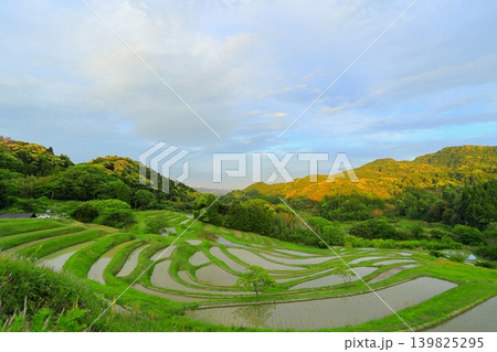 【千葉県】田植の済んだ大山千枚田 【千葉県】田植の済んだ大山千枚田 139825295