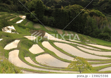 大山千枚田と朝焼けの空 139825598
