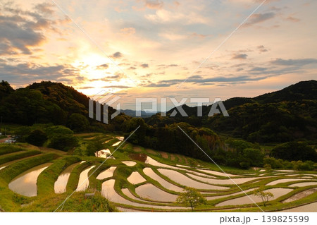 大山千枚田と朝焼けの空 大山千枚田と朝焼けの空 139825599