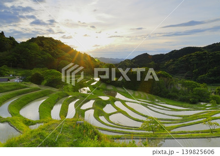 大山千枚田と朝焼けの空 139825606