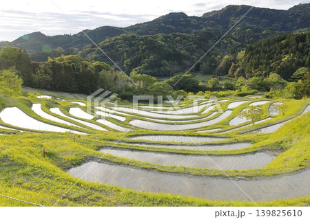 大山千枚田と朝焼けの空 大山千枚田と朝焼けの空 139825610