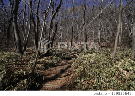 渋川市の水沢山に登る。水沢山登山口から、かなり急な登りが続く　2026年1月9日 139825645
