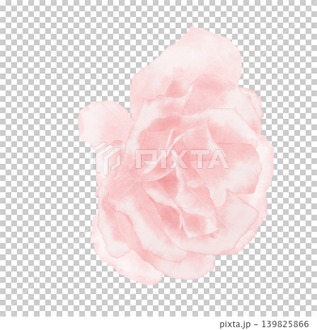 Watercolor illustration of a pink rose flower, a delicate soft colors, closeup 139825866