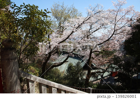 高尾山 薬王院 高尾山 薬王院 139826001