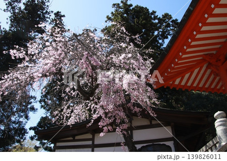 高尾山　薬王院 139826011