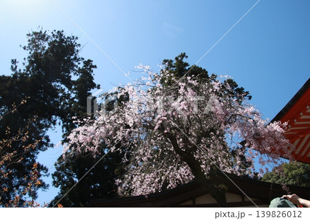 高尾山 薬王院 高尾山 薬王院 139826012