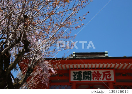 高尾山 薬王院 高尾山 薬王院 139826013