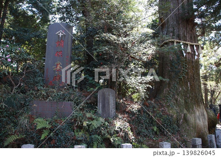 高尾山 薬王院 高尾山 薬王院 139826045