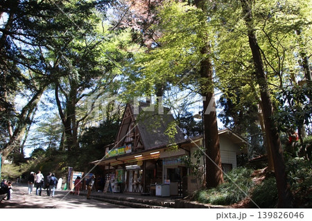 高尾山 薬王院 高尾山 薬王院 139826046