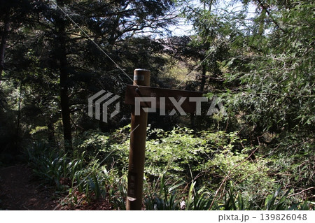 高尾山 薬王院 高尾山 薬王院 139826048