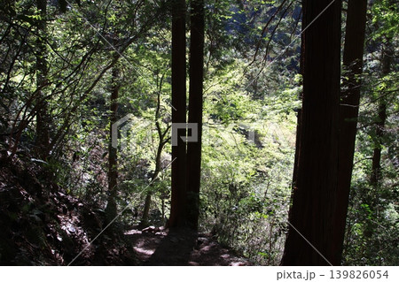 高尾山 薬王院 高尾山 薬王院 139826054