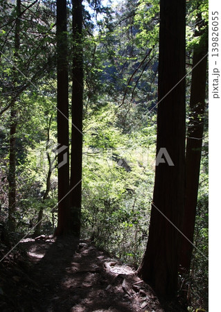高尾山 薬王院 高尾山 薬王院 139826055