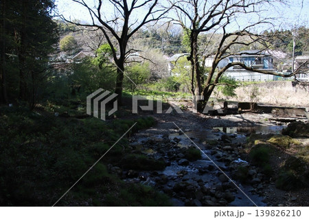 高尾山 景色 花 高尾山 景色 花 139826210
