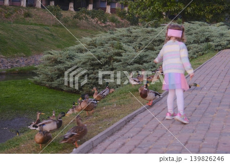 Small girl interacts with a flock of ducks in the Park on a paved path Small girl interacts with a flock of ducks in the Park on a paved path 139826246
