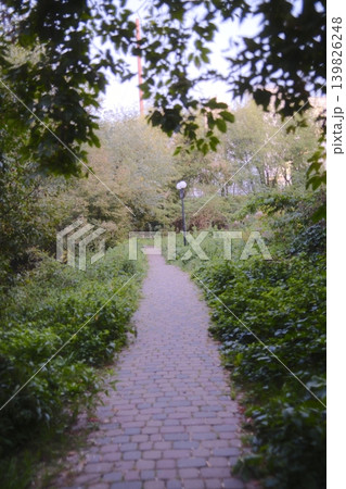 A cobblestone path winds through green plants toward a vintage light post 139826248