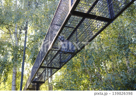 A Ring-tailed Lemur sits on a metal bridge between trees at the zoo 139826398