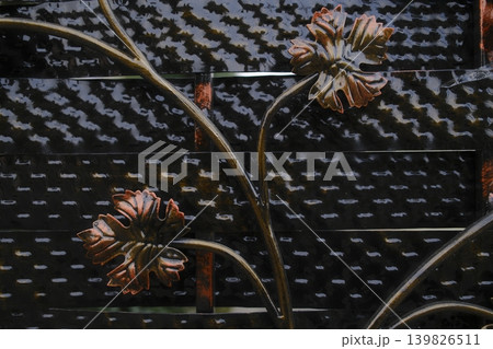 Forged gate: ornate vines, leaves on textured metal Forged gate: ornate vines, leaves on textured metal 139826511