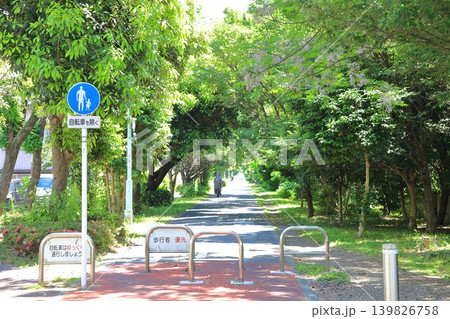 多摩湖自転車歩行者道 西武多摩湖線 多摩湖自転車歩行者道 西武多摩湖線 139826758