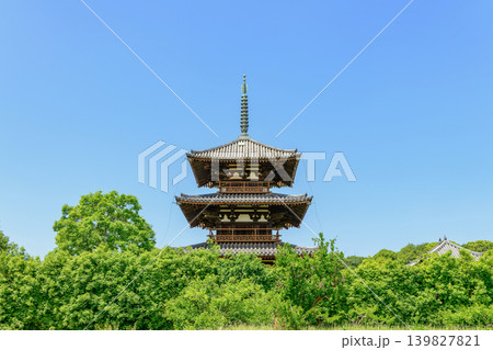 【奈良県】斑鳩町 法起寺 (2026/05/19 撮影) 139827821