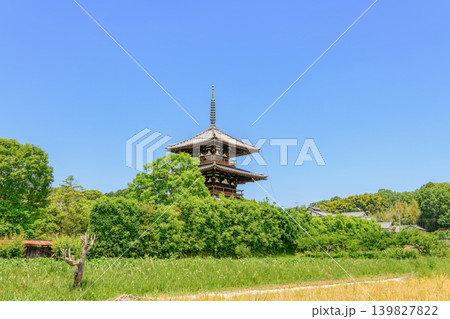 【奈良県】斑鳩町 法起寺 (2026/05/19 撮影) 139827822