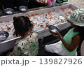 夏祭りの大きなイベント、金魚掬いに子供は夢中 139827926