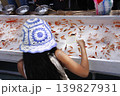 夏祭りの楽しみの一つ金魚すくい 139827931