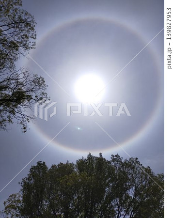 太陽の周りに現れたハロ現象 139827953