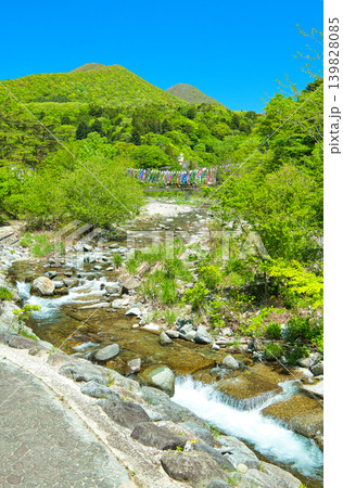 栃木県那須塩原市 板室温泉に流れる那珂川と鯉のぼり 栃木県那須塩原市 板室温泉に流れる那珂川と鯉のぼり 139828085