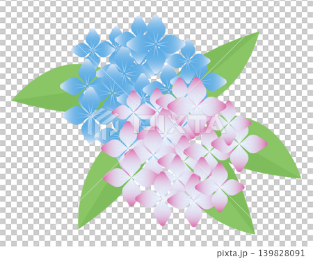 紫陽花 紫陽花 139828091
