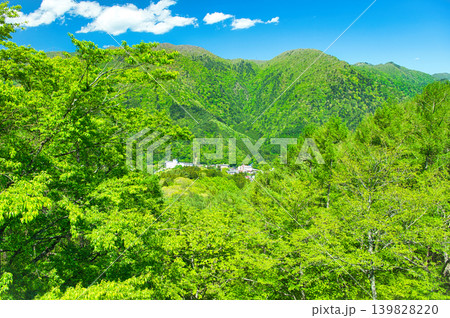 栃木県那須塩原市 自然豊かな塩原温泉の風景 栃木県那須塩原市 自然豊かな塩原温泉の風景 139828220